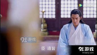 彦卿后续爆料视频